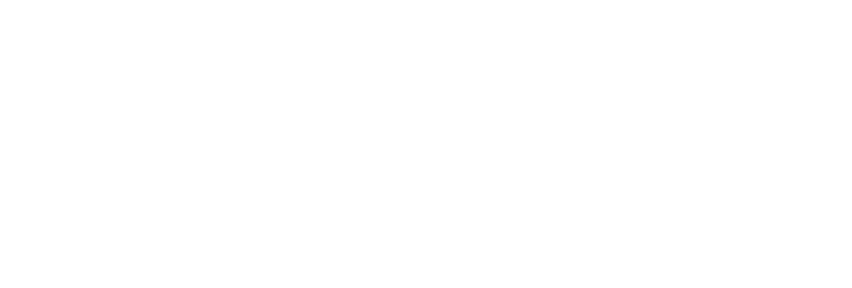 Словософт (Валидейт/Диоген)